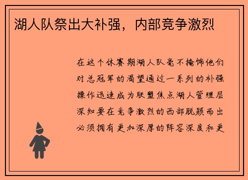 湖人队祭出大补强，内部竞争激烈