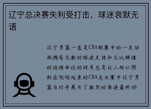 辽宁总决赛失利受打击，球迷哀默无语
